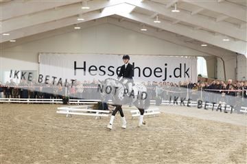 174363_kbb_01_R6II7929.JPG
