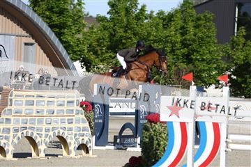 181436_avh_01_3091.JPG