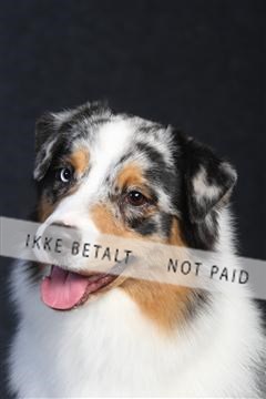 132082_le_ 01_IMG_0262.JPG