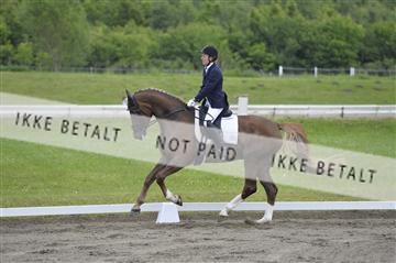 140040_abo_01__AB16395.JPG