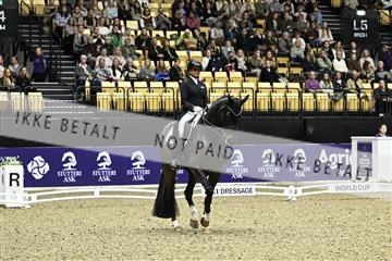 182194_kbb_03_Z091524.JPG