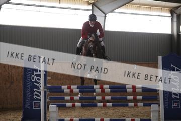 139206_kl_1_8M1Q5238.JPG