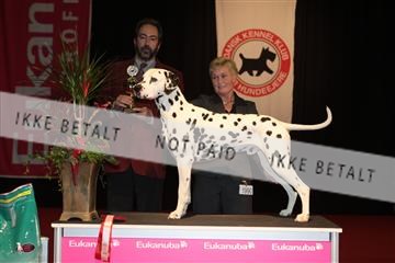 126827_tl_02_IMG_2998.JPG