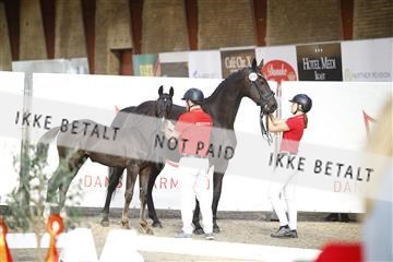 181802_jss_01__6II6035.JPG