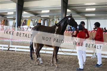 181756_mtp_03_R62_2768.JPG