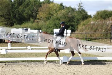181894_mtp_05_R62_4849.JPG