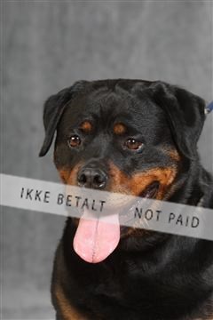 130054_le_ 03_0113.JPG