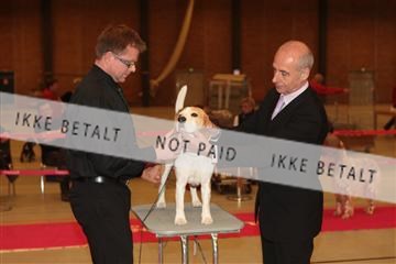 124188 _tl_02_IMG_9717.JPG