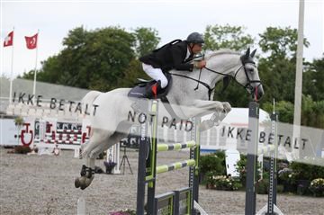 152762_nn _05_IMG_7652.JPG