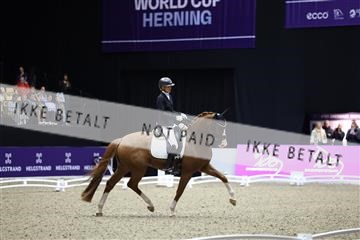182194_mlm_02_R62_0806.JPG