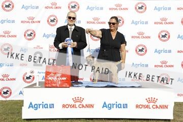 181848_kar_01__62_1540.JPG