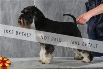 128239_le_kort_ 01_0392.JPG