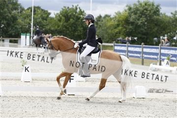 166078_rhj_01_166078_rhj_01__J7R1553.JPG