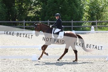172030_mtp_01_3M5A2457.JPG