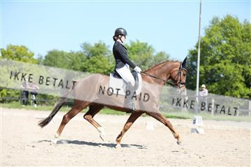 168732_mtp_01_3M5A8161.JPG
