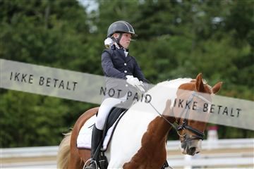 156196_nn_01_IMG_6268.JPG