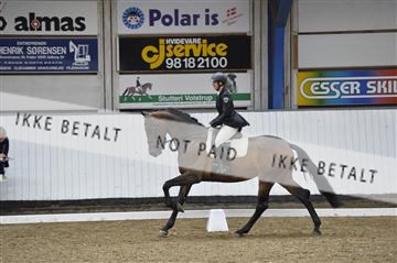 140040_abo_02__AB18665.JPG
