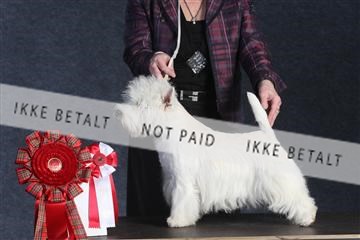 132082_le_ 01_IMG_1396.JPG