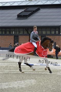 139644_abo_09__AB10720.JPG