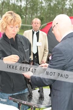 135379_tl_02_IMG_9271.JPG