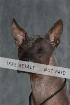 130054_le_ 03_0224.JPG