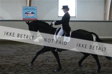 139267_kl_1_8M1Q6613.JPG
