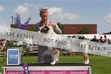 130370_se_03_IMG_7480.JPG
