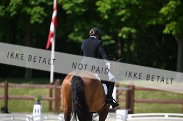 176255_mtp_01_Z09_1487.JPG