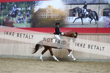 181887_mtp_02_R62_7806.JPG
