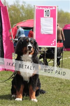 124188 _tl_02_IMG_9491.JPG