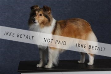 132082_le_ 01_IMG_0787.JPG