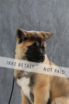 128239_le_ 06_0050.JPG