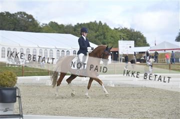 169624_kbb_01__KBB8615.JPG