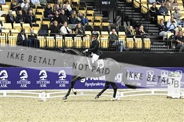 182194_kbb_03_Z090741.JPG