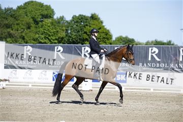 181449_kbb_01_6II9551.JPG