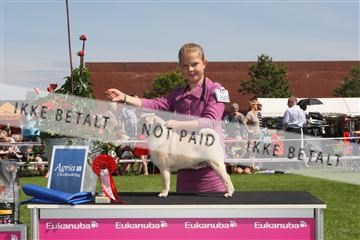 130370_se_02_IMG_6263.JPG