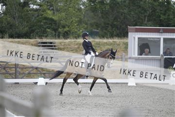 166078_rhj_01__J7R3877.JPG