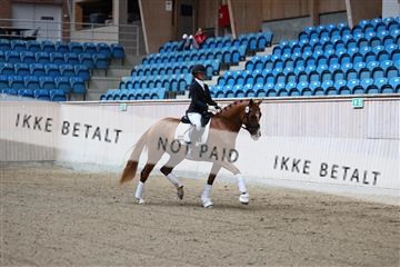 181887_mtp_04_R62_8178.JPG
