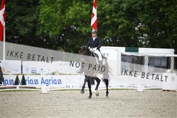 181449_jss_01__6II2198.JPG
