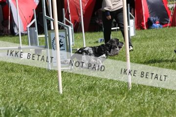 134871_ms_02_IMG_2952.JPG