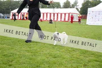 182009_kar_01__62_6270.JPG