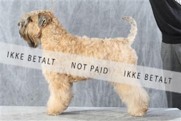 128239_le_kort_ 01_0341.JPG