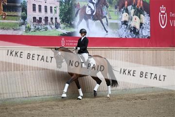 181887_mtp_01_R62_6586.JPG