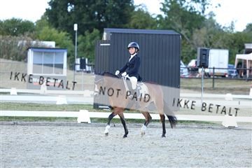 181894_mtp_05_R62_5459.JPG