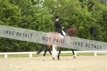 139835_sg_01_IMG_7226.JPG