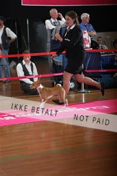 6068_ma_07_IMG_6996.JPG