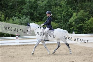 156196_nn_01_IMG_6121.JPG