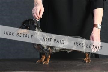 132082_le_ 01_IMG_0170.JPG