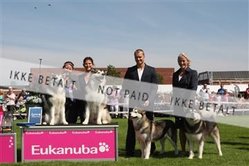 130370_se_02_IMG_6329.JPG