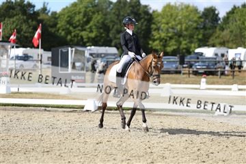 181894_mtp_05_R62_4628.JPG